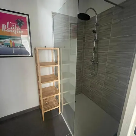 T3 Curistes Apartment Dax